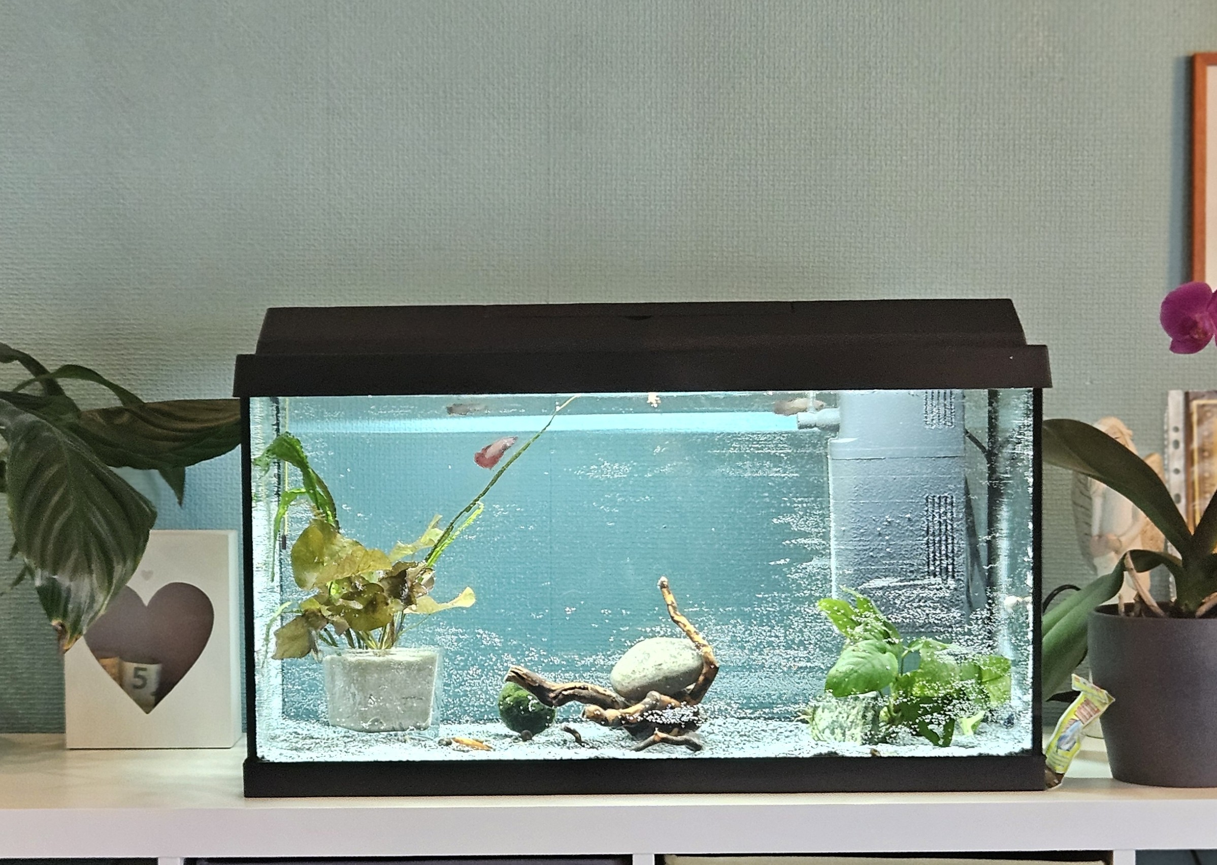 Juwel Primo 60 LED
